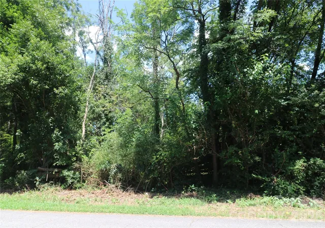 Photo 3 of Land for sale at 0 Springfield Dr, Forest City, NC 28043 | MLS# 4422168 | Listing updated on 2026-09-14