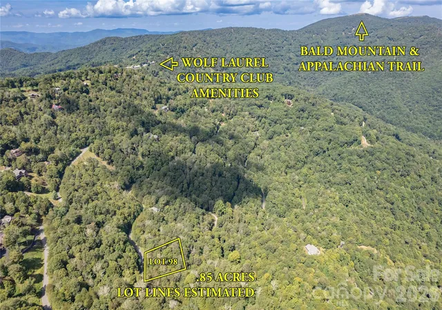Photo 3 of Land for sale at 98 Goldenleaf Rd, Mars Hill, NC 28754 | MLS# 4422241 | Listing updated on 2026-09-15