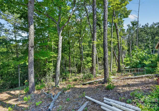 Photo 3 of Land for sale at 00 Jacks Paw Ln, Hendersonville, NC 28792 | MLS# 4422286 | Listing updated on 2026-09-12