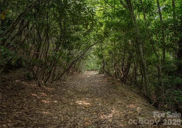 Photo 3 of Land for sale at 99999 Saw Branch Rd, Candler, NC 28715 | MLS# 4422917 | Listing updated on 2026-10-03