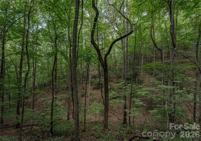 Photo 3 of Land for sale at 99999 Saw Branch Rd, Candler, NC 28715 | MLS# 4422917 | Listing updated on 2026-10-03