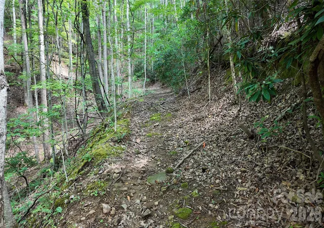 Photo 4 of Land for sale at 99999 Saw Branch Rd, Candler, NC 28715 | MLS# 4422917 | Listing updated on 2026-10-03