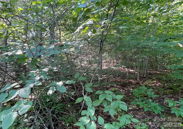 Photo 3 of Land for sale at Cedar Creek 0 Rd, Lake Lure, NC 28746 | MLS# 4422925 | Listing updated on 2026-09-15