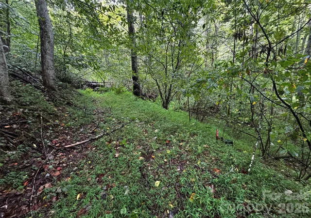 Land for sale at Tbd Big Pine Rd, Marshall, NC 28753 | MLS# 4423025