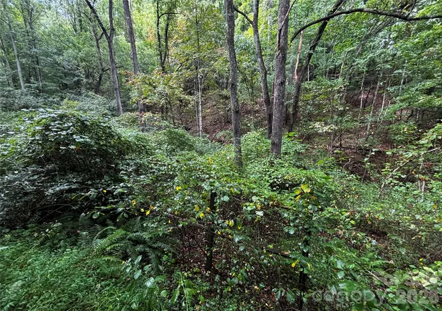 Photo 3 of Land for sale at Tbd Big Pine Rd, Marshall, NC 28753 | MLS# 4423025 | Listing updated on 2026-09-11