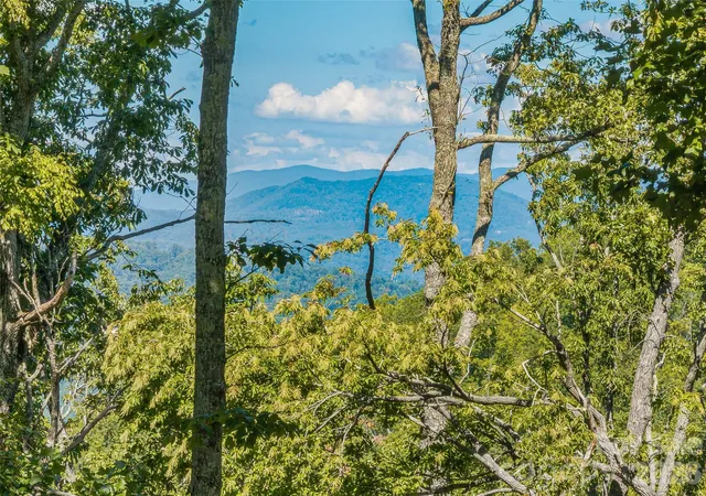 Photo 4 of Land for sale at Lot 43 Hvn View Trl, Fletcher, NC 28732 | MLS# 4423044 | Listing updated on 2026-09-11