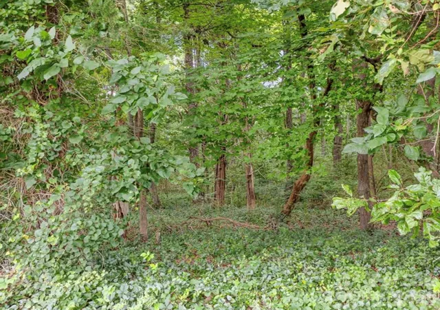 Photo 2 of Land for sale at 6700 Long Rd, Mint Hill, NC 28227 | MLS# 4423109 | Listing updated on 2026-09-15