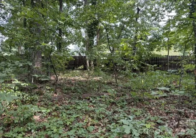 Photo 2 of Land for sale at 809 2nd Street Se, Conover, NC 28613 | MLS# 4423115 | Listing updated on 2026-09-14