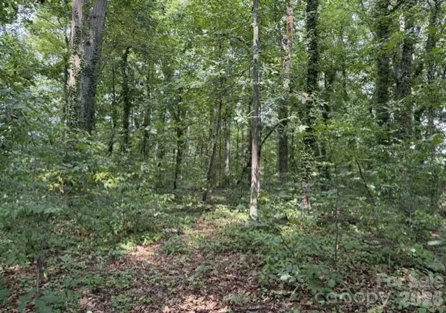 Photo 3 of Land for sale at 809 2nd Street Se, Conover, NC 28613 | MLS# 4423115 | Listing updated on 2026-09-14