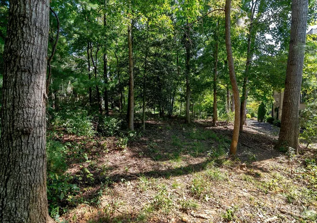 Photo 3 of Land for sale at 16 Mountain Orchid Way #CWC-CP-085, Arden, NC 28704 | MLS# 4423379 | Listing updated on 2026-09-21