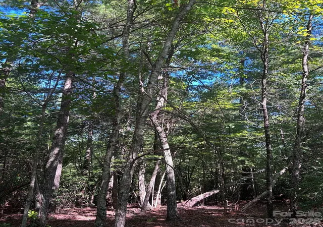 Photo 3 of Land for sale at 256 Beacon Ridge Dr #26-12, Nebo, NC 28761 | MLS# 4423488 | Listing updated on 2026-09-11