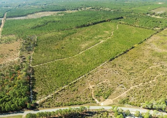 Photo 3 of Land for sale at 1924 Ruby Rd, Hartsville, SC 29550 | MLS# 4423786 | Listing updated on 2026-09-11