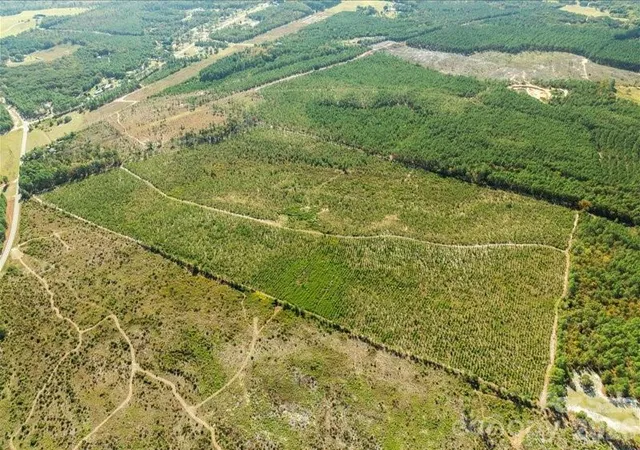Photo 4 of Land for sale at 1924 Ruby Rd, Hartsville, SC 29550 | MLS# 4423786 | Listing updated on 2026-09-11