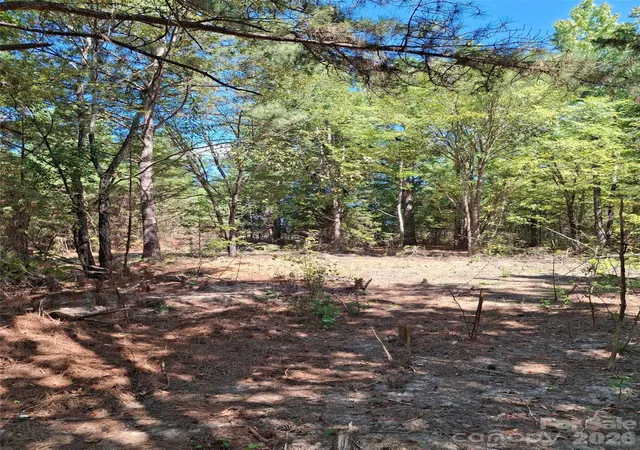 Photo 2 of Land for sale at 551 Paul Frd Rd, Clover, SC 29710 | MLS# 4424005 | Listing updated on 2026-09-21
