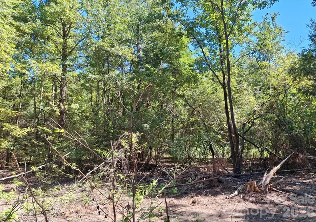 Photo 3 of Land for sale at 551 Paul Frd Rd, Clover, SC 29710 | MLS# 4424005 | Listing updated on 2026-09-21