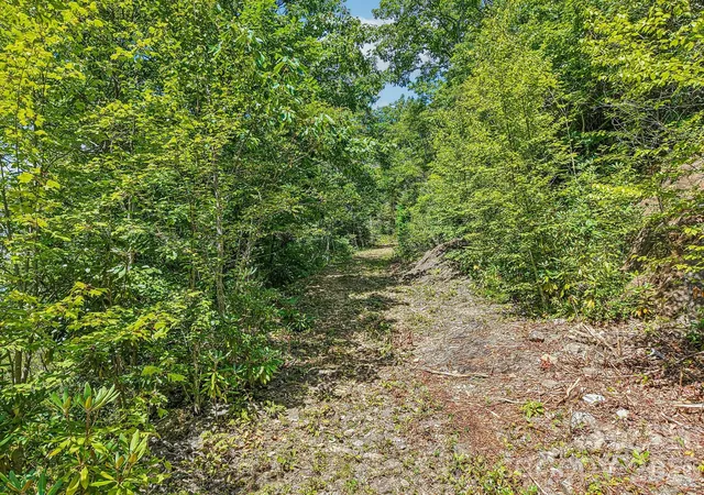 Photo 2 of Land for sale at G6 Ataya Trl, Maggie Valley, NC 28751 | MLS# 4424029 | Listing updated on 2026-09-11