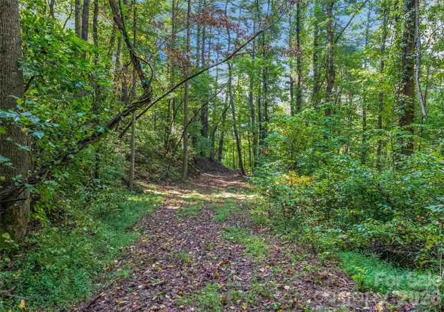 Photo 4 of Land for sale at Tbd Robinhood Rd #2, Asheville, NC 28804 | MLS# 4424345 | Listing updated on 2026-09-14