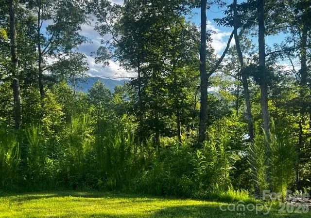Photo 2 of Land for sale at 23 Mountain Pkwy, Mill Spring, NC 28756 | MLS# 4424429 | Listing updated on 2026-09-15