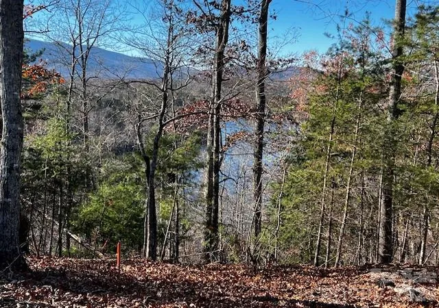 Photo 3 of Land for sale at 23 Mountain Pkwy, Mill Spring, NC 28756 | MLS# 4424429 | Listing updated on 2026-09-15