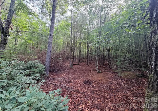Photo 3 of Land for sale at Tbd Waters Edge Dr #3-16, Nebo, NC 28761 | MLS# 4424509 | Listing updated on 2026-09-14