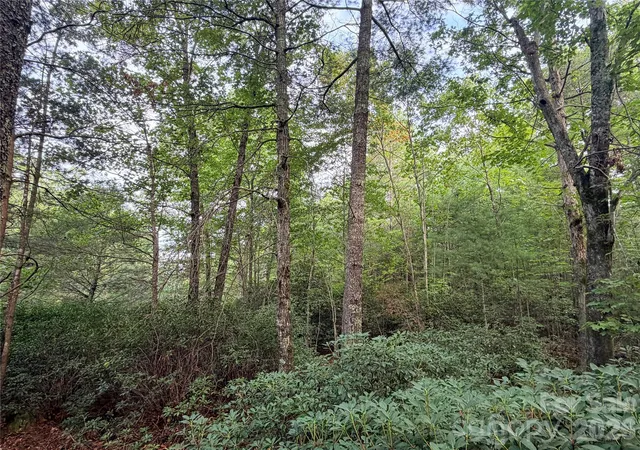 Photo 4 of Land for sale at Tbd Waters Edge Dr #3-16, Nebo, NC 28761 | MLS# 4424509 | Listing updated on 2026-09-14
