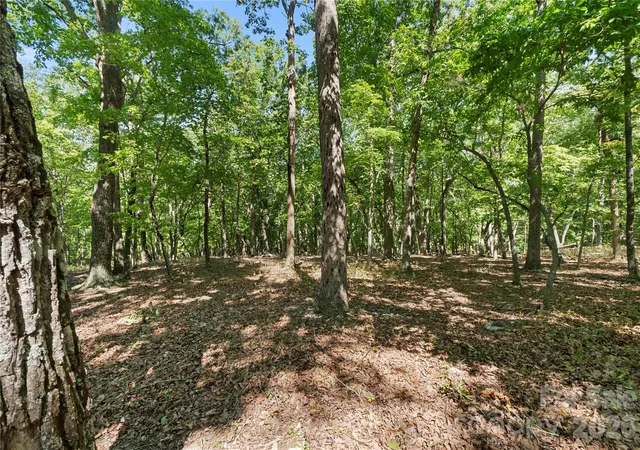 Photo 3 of Land for sale at 686 Palisade Tr, Denton, NC 27239 | MLS# 4424555 | Listing updated on 2026-09-14