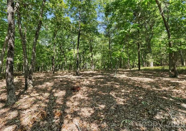 Photo 4 of Land for sale at 686 Palisade Tr, Denton, NC 27239 | MLS# 4424555 | Listing updated on 2026-09-14