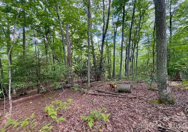 Photo 1 of Land for sale at Tbd Galax Ln #45, Banner Elk, NC 28604 | MLS# 4424602 | Listing updated on 2026-09-14