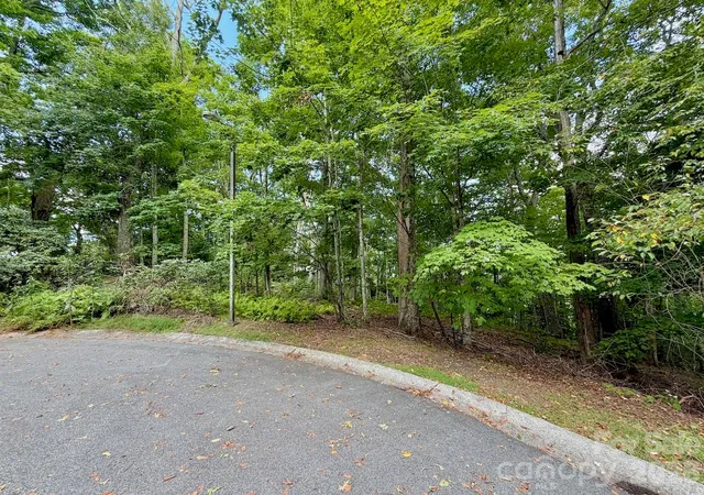 Photo 4 of Land for sale at Tbd Galax Ln #45, Banner Elk, NC 28604 | MLS# 4424602 | Listing updated on 2026-09-14