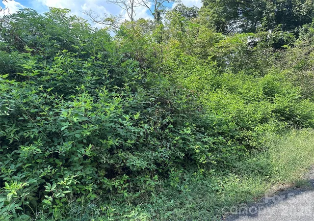 Photo 1 of Land for sale at 1022 S Salisbury St #11, Lexington, NC 27292 | MLS# 4424638 | Listing updated on 2026-09-15