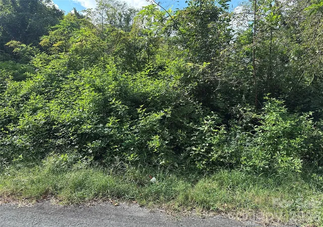 Photo 3 of Land for sale at 1022 S Salisbury St #11, Lexington, NC 27292 | MLS# 4424638 | Listing updated on 2026-09-15