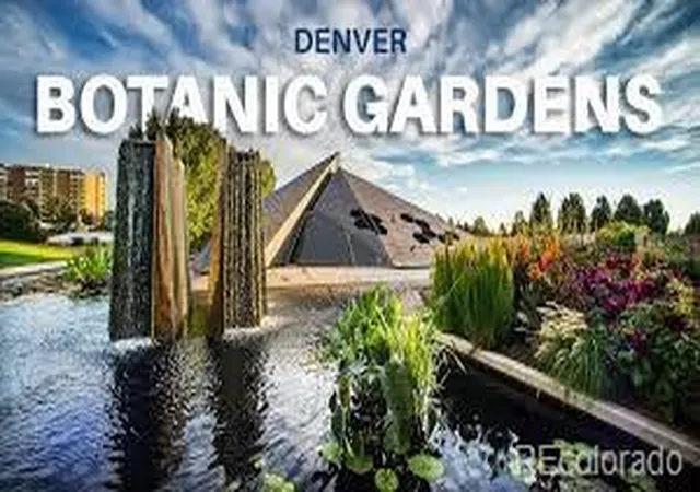 Listing Photo 4 - Condo for sale in building located at 1060 N Washington St, Denver, CO 80203 - Unit #1A