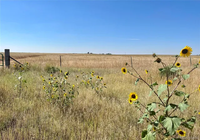 Photo 1 of Land for sale at 46850 County Rd 46, Limon, CO 80828 | MLS# 5927370 | Listing updated on 2026-09-11