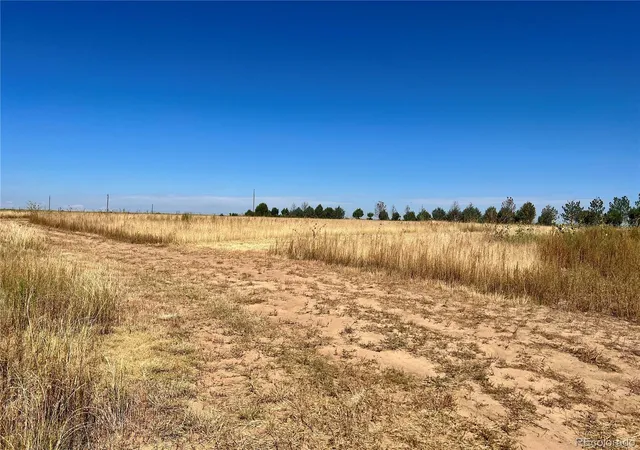 Photo 3 of Land for sale at 46850 County Rd 46, Limon, CO 80828 | MLS# 5927370 | Listing updated on 2026-09-11