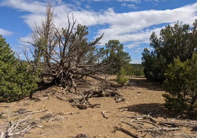 Photo 4 of Sale Pending at 623 Cello Azui Dr, Walsenburg, CO 81089 | MLS# 3058035 | Listing updated on 2026-09-28