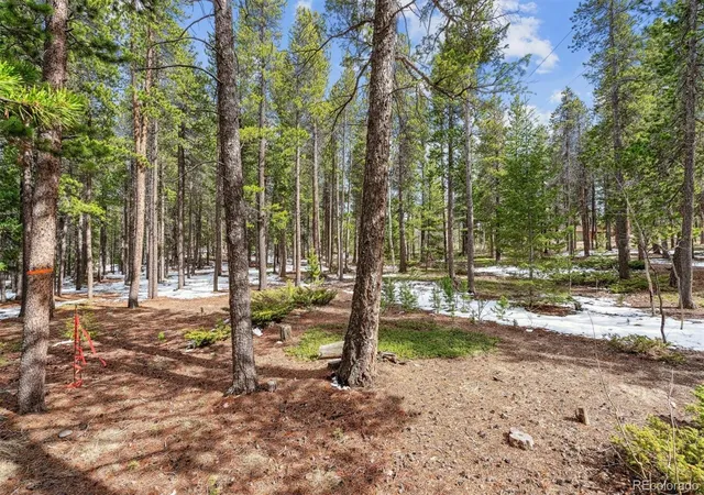 Photo 4 of Land for sale at Rock Lake Rd, Ward, CO 80481 | MLS# 3336663 | Listing updated on 2026-09-10