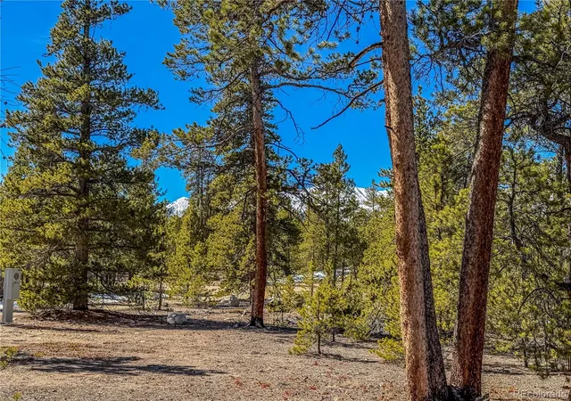 Photo 1 of Land for sale at 199 Cedar Dr, Twin Lakes, CO 81251 | MLS# 9498666 | Listing updated on 2026-09-15