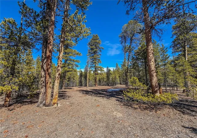 Photo 2 of Land for sale at 199 Cedar Dr, Twin Lakes, CO 81251 | MLS# 9498666 | Listing updated on 2026-09-15