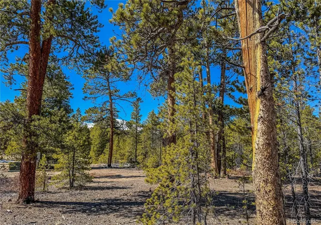 Photo 3 of Land for sale at 199 Cedar Dr, Twin Lakes, CO 81251 | MLS# 9498666 | Listing updated on 2026-09-15