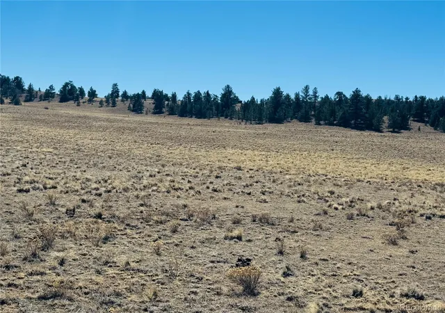 Photo 3 of Land for sale at 3067 Fitzsimmons Rd, Hartsel, CO 80449 | MLS# 4858853 | Listing updated on 2026-09-11