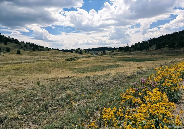 Photo 1 of Land for sale at 55 Jay Ct, Hartsel, CO 80449 | MLS# 9335929 | Listing updated on 2026-09-11