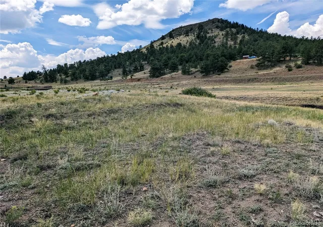 Photo 4 of Land for sale at 55 Jay Ct, Hartsel, CO 80449 | MLS# 9335929 | Listing updated on 2026-09-11