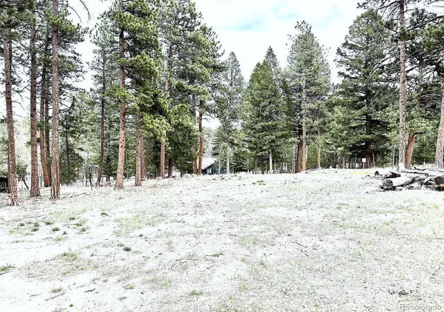 Photo 3 of Land for sale at 252 Beaver Trl, Bailey, CO 80421 | MLS# 5799084 | Listing updated on 2026-09-21