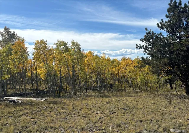 Photo 1 of Land for sale at 890 Mcdowell Dr, Como, CO | MLS# 7047231 | Listing updated on 2026-09-10
