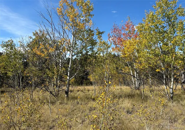 Photo 3 of Land for sale at 890 Mcdowell Dr, Como, CO | MLS# 7047231 | Listing updated on 2026-09-10