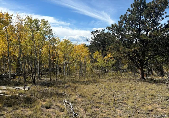 Photo 4 of Land for sale at 890 Mcdowell Dr, Como, CO | MLS# 7047231 | Listing updated on 2026-09-10