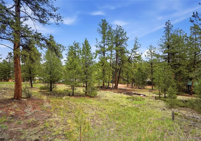 Photo 3 of Single family home for sale at 14032 S Olive Ave, Pine, CO 80470 | MLS# 5287987 | Listing updated on 2026-09-28