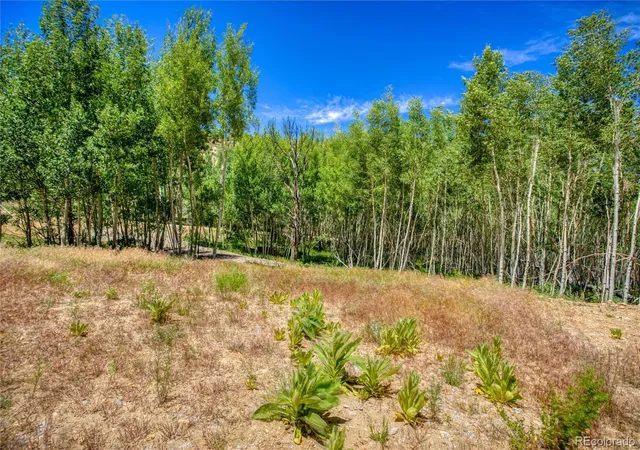 Photo 3 of Land for sale at 302 Rickel Cir, South Fork, CO 81154 | MLS# 4385009 | Listing updated on 2026-09-15