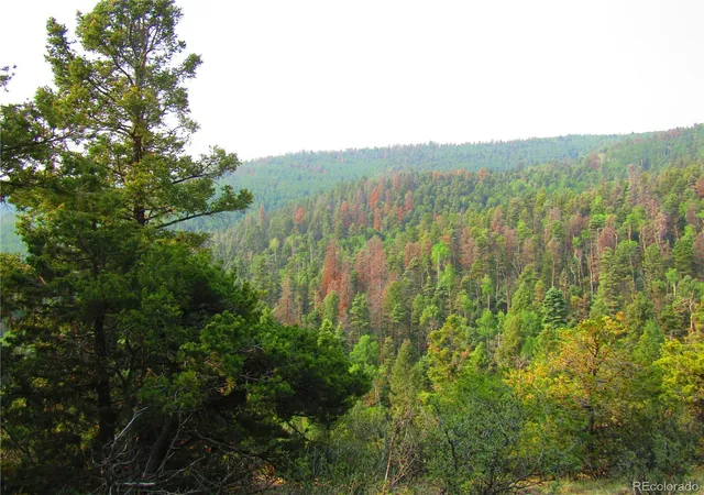 Photo 3 of Land for sale at Lot 6328 Jacquez Rd, San Luis, CO 81152 | MLS# 4552882 | Listing updated on 2026-09-10