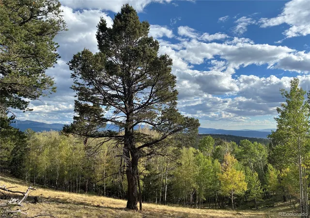 Photo 3 of Land for sale at Lot 5597 Nettler Rd, San Luis, CO 81152 | MLS# 7106830 | Listing updated on 2026-09-11
